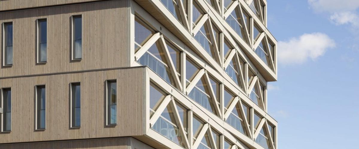 Patch222 houten hoogbouw